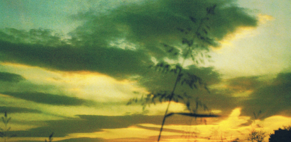 twilight_singles